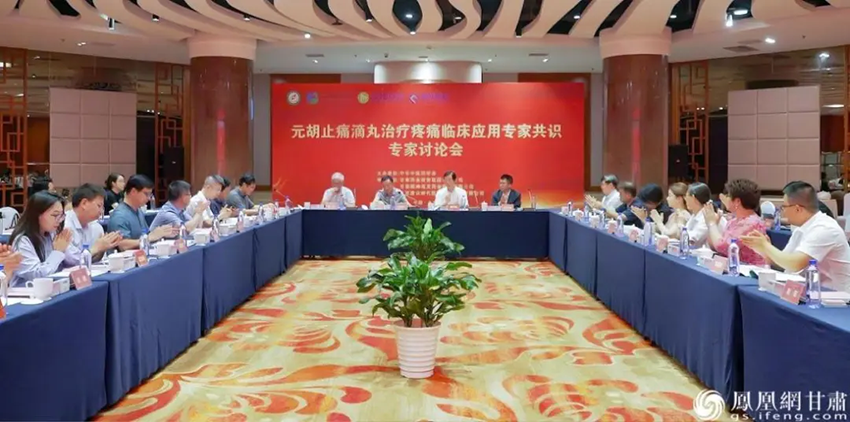 知名專家北京論見 智匯甘肅好藥臨床應(yīng)用