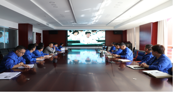 甘肅隴神戎發(fā)藥業(yè)股份有限公司參加對標(biāo)世界一流管理提升視頻推進會